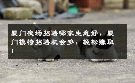 厦门夜场招聘哪家生意好，厦门模特招聘机会多，轻松赚取！