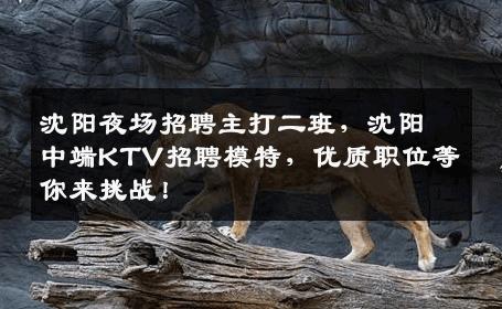 沈阳夜场招聘主打二班，沈阳中端KTV招聘模特，优质职位等你来挑战！