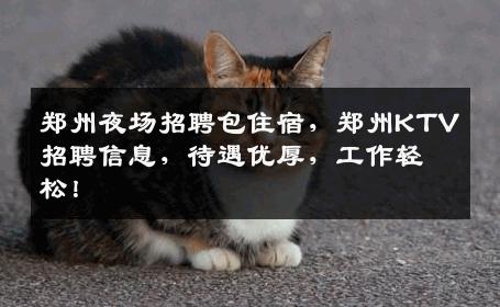 郑州夜场招聘包住宿，郑州KTV招聘信息，待遇优厚，工作轻松！