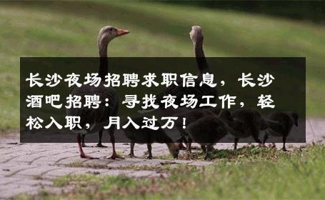 长沙夜场招聘求职信息，长沙酒吧招聘：寻找夜场工作，轻松入职，月入过万！