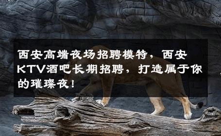 西安高端夜场招聘模特，西安KTV酒吧长期招聘，打造属于你的璀璨夜！