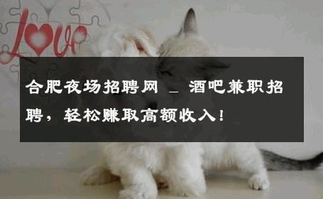 合肥夜场招聘网 _ 酒吧兼职招聘，轻松赚取高额收入！