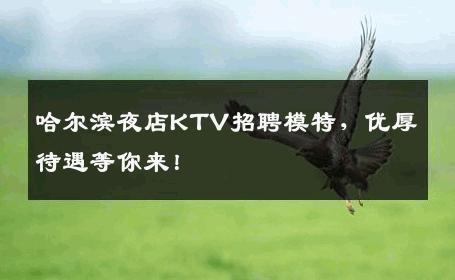 哈尔滨夜店KTV招聘模特，优厚待遇等你来！
