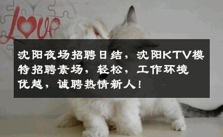 沈阳夜场招聘日结，沈阳KTV模特招聘素场，轻松，工作环境优越，诚聘热情新人！