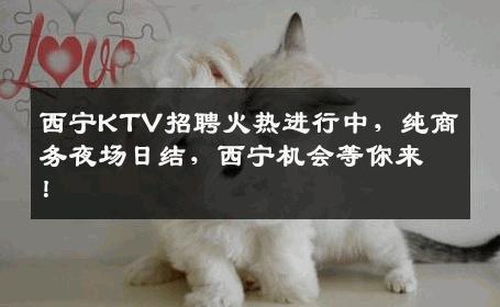 西宁KTV招聘火热进行中，纯商务夜场日结，西宁机会等你来！