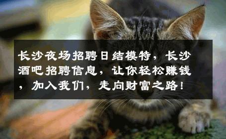 长沙夜场招聘日结模特，长沙酒吧招聘信息，让你轻松赚钱，加入我们，走向财富之路！