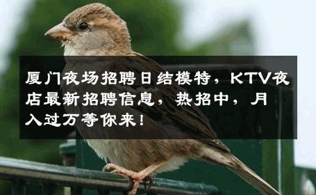 厦门夜场招聘日结模特，KTV夜店最新招聘信息，热招中，月入过万等你来！