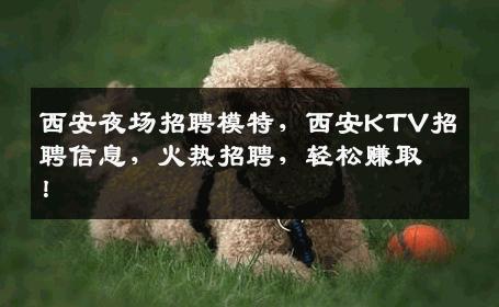 西安夜场招聘模特，西安KTV招聘信息，火热招聘，轻松赚取！