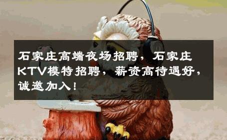 石家庄高端夜场招聘，石家庄KTV模特招聘，薪资高待遇好，诚邀加入！