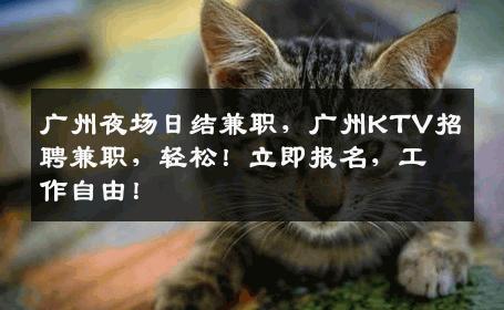 广州夜场日结兼职，广州KTV招聘兼职，轻松！立即报名，工作自由！