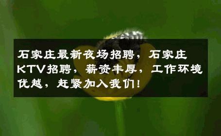 石家庄最新夜场招聘，石家庄KTV招聘，薪资丰厚，工作环境优越，赶紧加入我们！