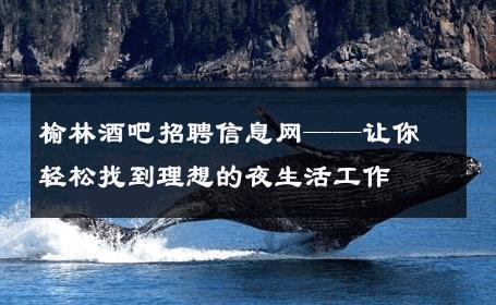 榆林酒吧招聘信息网——让你轻松找到理想的夜生活工作