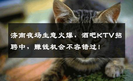 济南夜场生意火爆，酒吧KTV招聘中，赚钱机会不容错过！