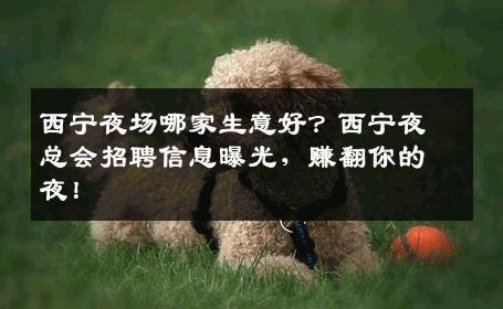 西宁夜场哪家生意好？西宁夜总会招聘信息曝光，赚翻你的夜！