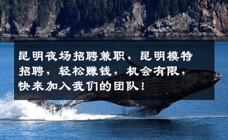 昆明夜场招聘兼职，昆明模特招聘，轻松赚钱，机会有限，快来加入我们的团队！
