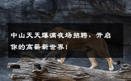 中山天天爆满夜场招聘，开启你的高薪新世界！