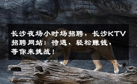 长沙夜场小时场招聘，长沙KTV招聘网站：待遇，轻松赚钱，等你来挑战！