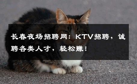 长春夜场招聘网：KTV招聘，诚聘各类人才，轻松赚！