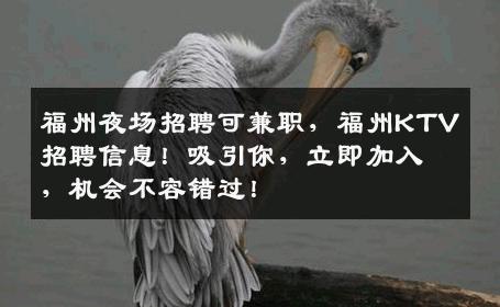 福州夜场招聘可兼职，福州KTV招聘信息！吸引你，立即加入，机会不容错过！