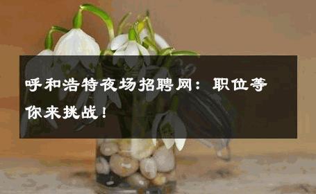 呼和浩特夜场招聘网：职位等你来挑战！