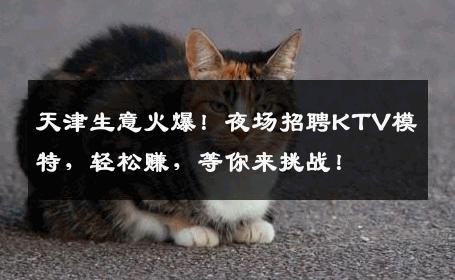 天津生意火爆！夜场招聘KTV模特，轻松赚，等你来挑战！