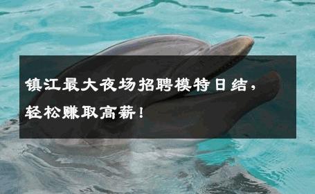 镇江最大夜场招聘模特日结，轻松赚取高薪！