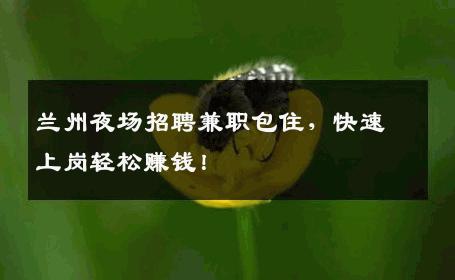 兰州夜场招聘兼职包住，快速上岗轻松赚钱！