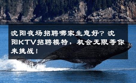 沈阳夜场招聘哪家生意好？沈阳KTV招聘模特，机会无限等你来挑战！