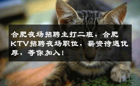 合肥夜场招聘主打二班，合肥KTV招聘夜场职位，薪资待遇优厚，等你加入！