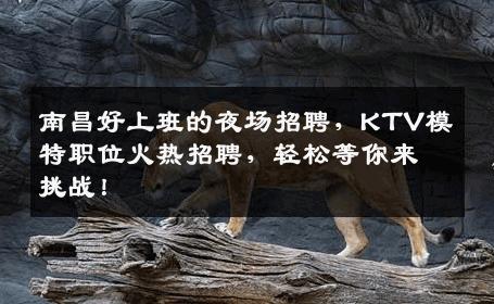 南昌好上班的夜场招聘，KTV模特职位火热招聘，轻松等你来挑战！