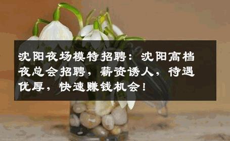 沈阳夜场模特招聘：沈阳高档夜总会招聘，薪资诱人，待遇优厚，快速赚钱机会！
