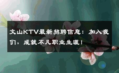 文山KTV最新招聘信息：加入我们，成就不凡职业生涯！