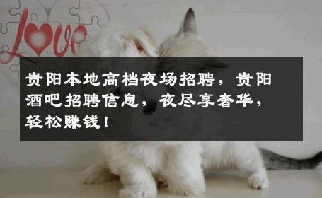 贵阳本地高档夜场招聘，贵阳酒吧招聘信息，夜尽享奢华，轻松赚钱！