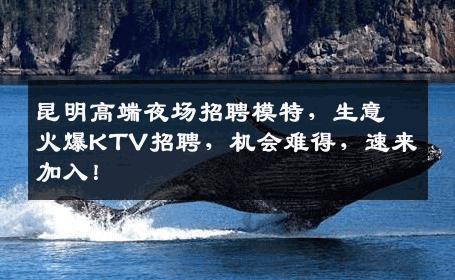 昆明高端夜场招聘模特，生意火爆KTV招聘，机会难得，速来加入！