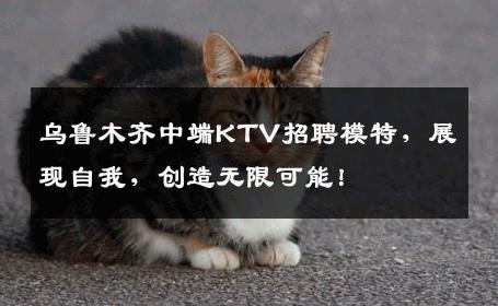 乌鲁木齐中端KTV招聘模特，展现自我，创造无限可能！