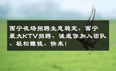 西宁夜场招聘生意稳定，西宁最大KTV招聘，诚邀你加入团队，轻松赚钱，快来！