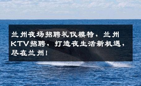 兰州夜场招聘礼仪模特，兰州KTV招聘，打造夜生活新机遇，尽在兰州！