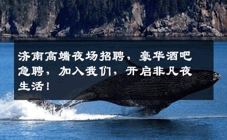 济南高端夜场招聘，豪华酒吧急聘，加入我们，开启非凡夜生活！