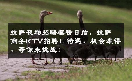 拉萨夜场招聘模特日结，拉萨商务KTV招聘！待遇，机会难得，等你来挑战！