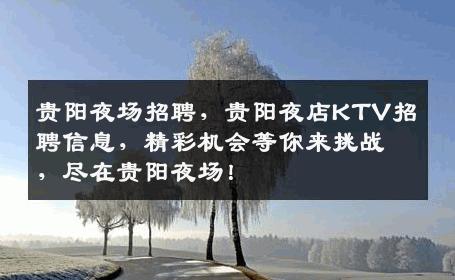 贵阳夜场招聘，贵阳夜店KTV招聘信息，精彩机会等你来挑战，尽在贵阳夜场！