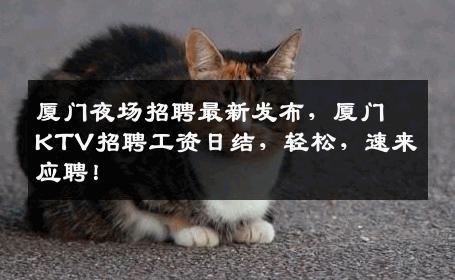 厦门夜场招聘最新发布，厦门KTV招聘工资日结，轻松，速来应聘！