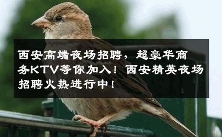 西安高端夜场招聘，超豪华商务KTV等你加入！西安精英夜场招聘火热进行中！