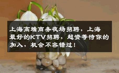 上海高端商务夜场招聘，上海最好的KTV招聘，超资等待你的加入，机会不容错过！