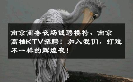 南京商务夜场诚聘模特，南京高档KTV招聘！加入我们，打造不一样的辉煌夜！
