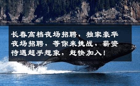 长春高档夜场招聘，独家豪华夜场招聘，等你来挑战，薪资待遇超乎想象，赶快加入！
