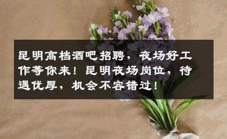 昆明高档酒吧招聘，夜场好工作等你来！昆明夜场岗位，待遇优厚，机会不容错过！