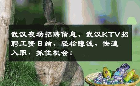 武汉夜场招聘信息，武汉KTV招聘工资日结，轻松赚钱，快速入职，抓住机会！