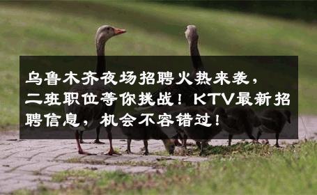 乌鲁木齐夜场招聘火热来袭，二班职位等你挑战！KTV最新招聘信息，机会不容错过！