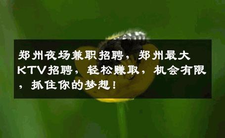 郑州夜场兼职招聘，郑州最大KTV招聘，轻松赚取，机会有限，抓住你的梦想！