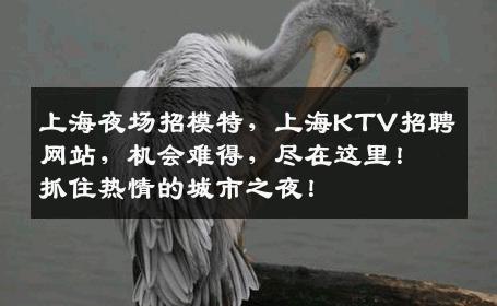 上海夜场招模特，上海KTV招聘网站，机会难得，尽在这里！抓住热情的城市之夜！